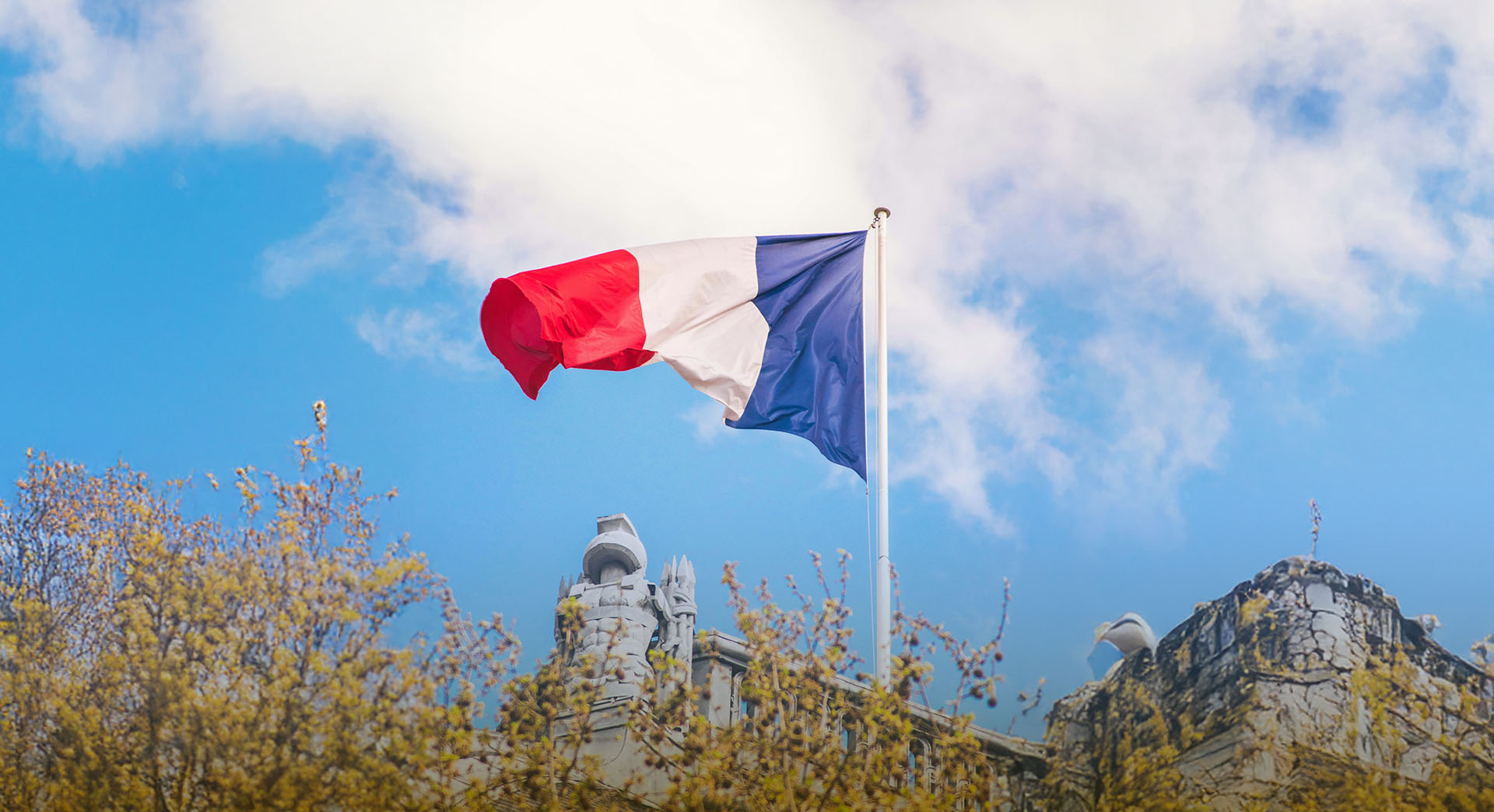 France Vaping Market Snapshot 2026 